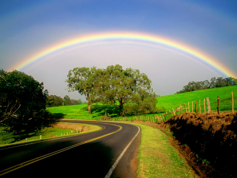 Rainbow over Winding Road