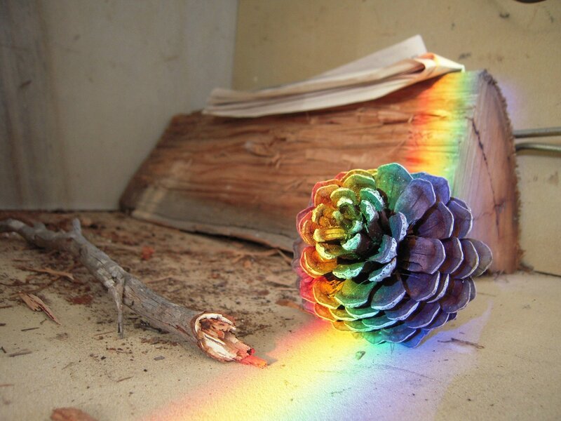 Rainbow pinecone on wood