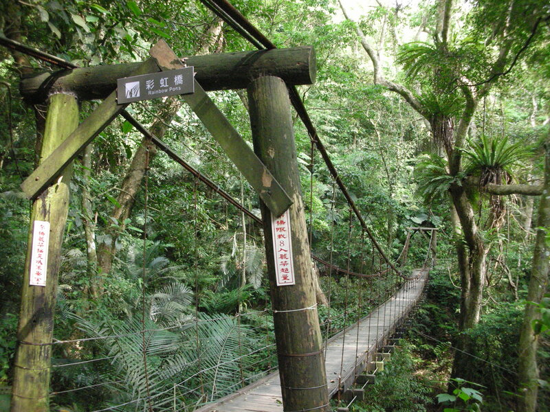 Rainbow Pons suspension bridge