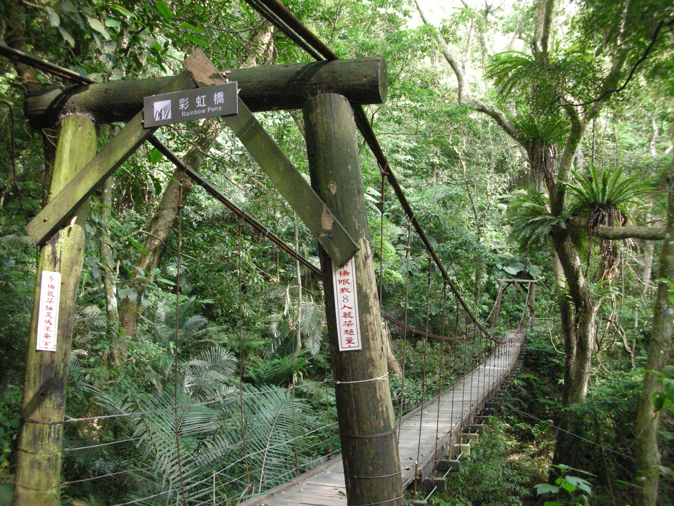 Rainbow Pons suspension bridge