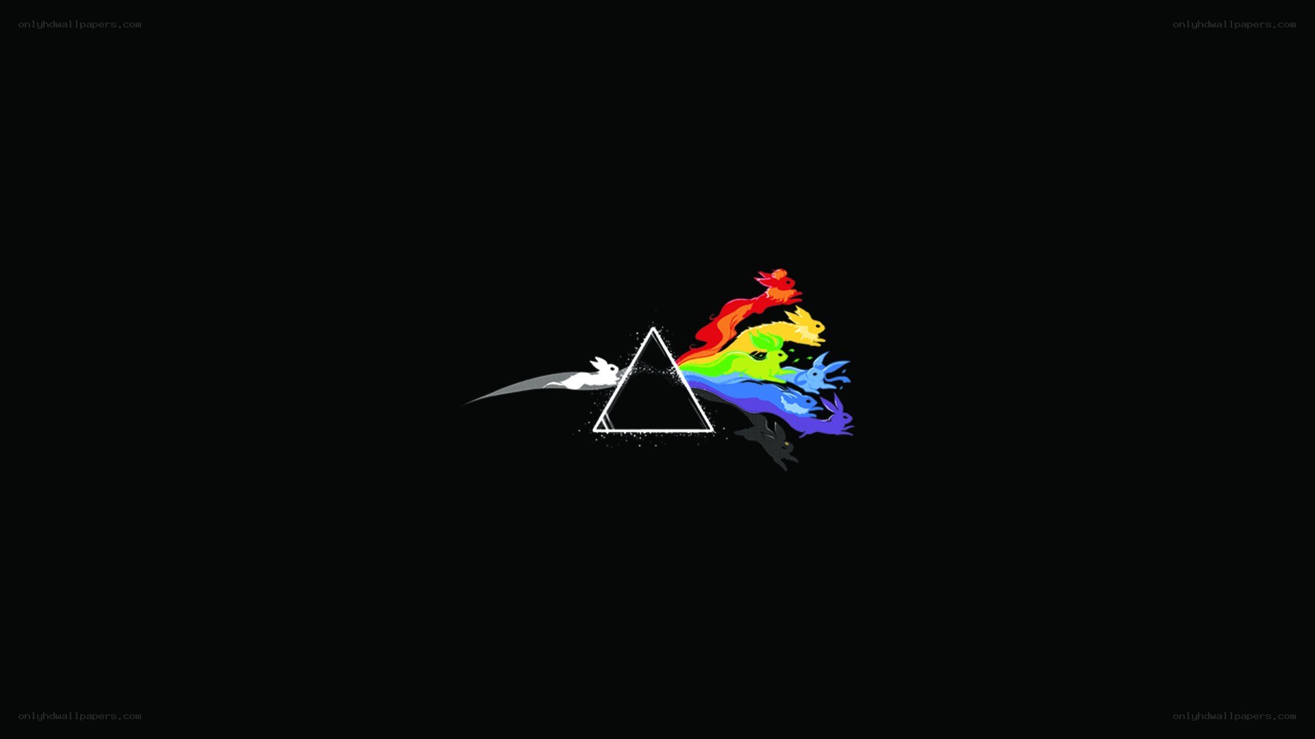 Rainbow rabbits through prism