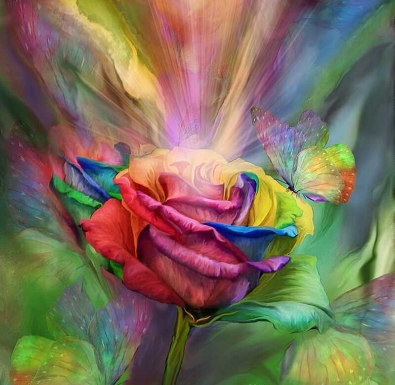 Rainbow Rose and Butterfly