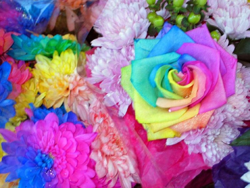 Rainbow Rose Bouquet — Pink