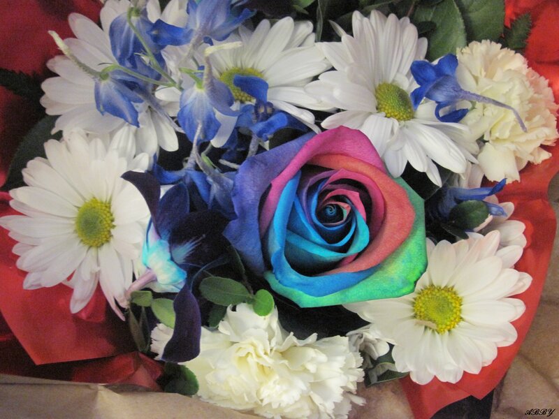 Rainbow Rose Bouquet — White