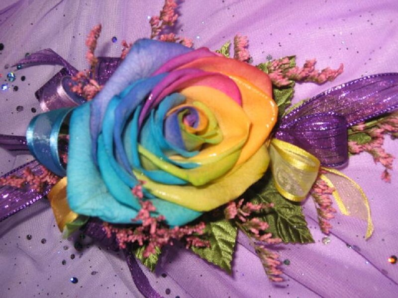 Rainbow Rose Corsage