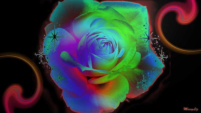 Rainbow Rose Flower — Green