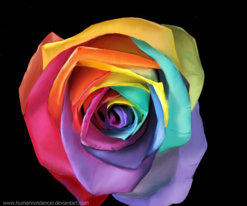 Rainbow Rose — Red