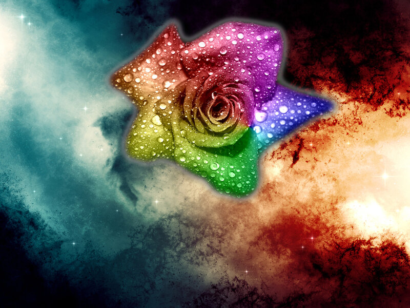 Rainbow Rose with Water Droplets — Green