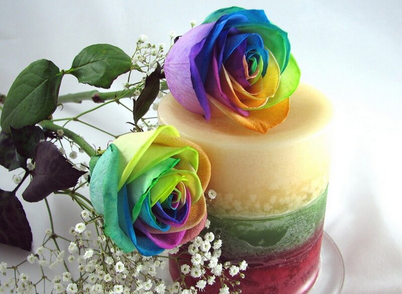 Rainbow Roses and Candle