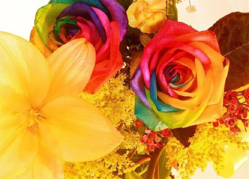 Rainbow Roses and Lilies