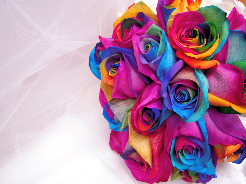 Rainbow Roses Bouquet — Pink, Colorful