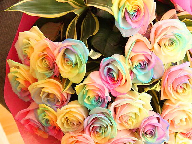 Rainbow Roses Bouquet — Pink
