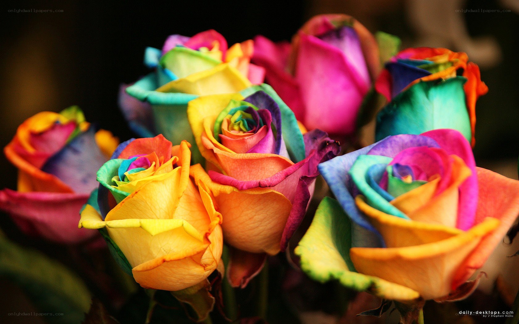rainbow roses bouquet