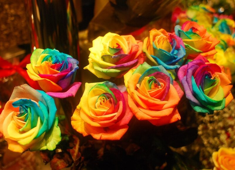 Rainbow Roses in Bouquet — Colorful
