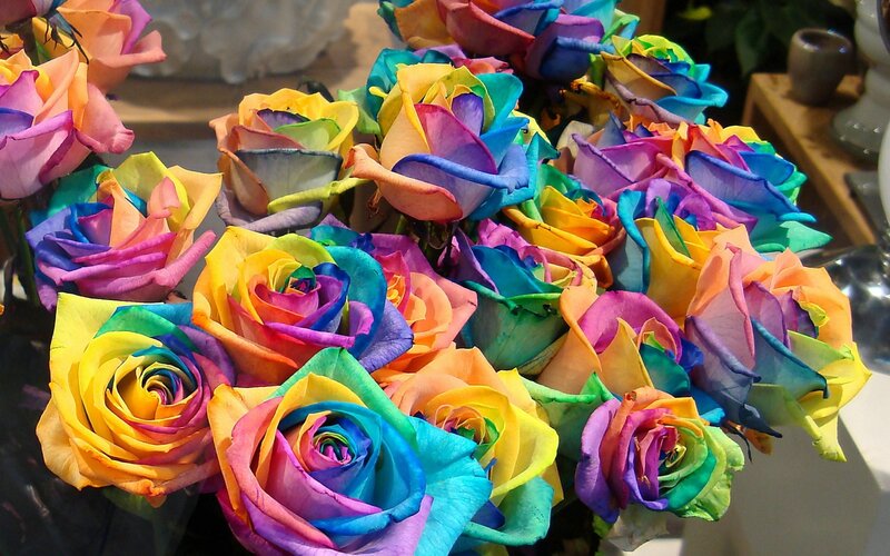Rainbow Roses in Bouquet — Yellow