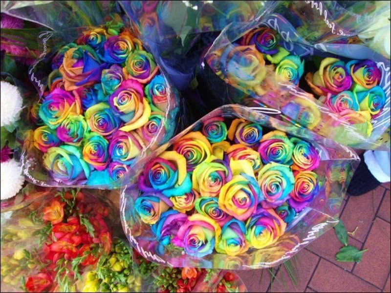 Rainbow roses in bouquets