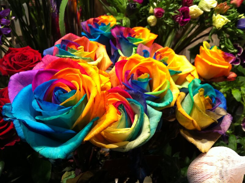 Rainbow Roses