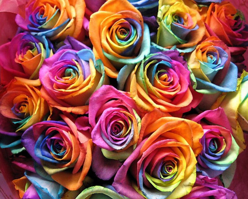Rainbow Roses — Vibrant, Photograph, Flowers, Bouquet