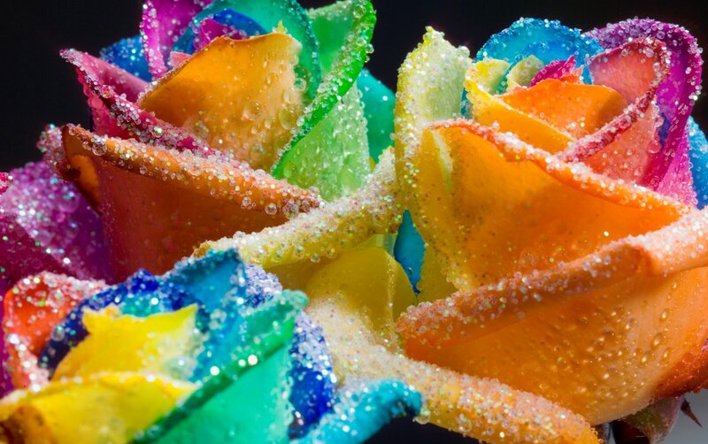 Rainbow Roses with Glitter