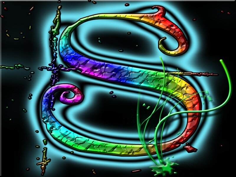 rainbow serpent logo