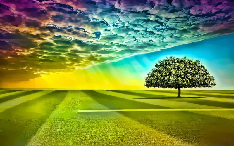 Rainbow sky over lone tree