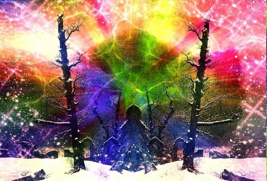 rainbow sky over snowy forest