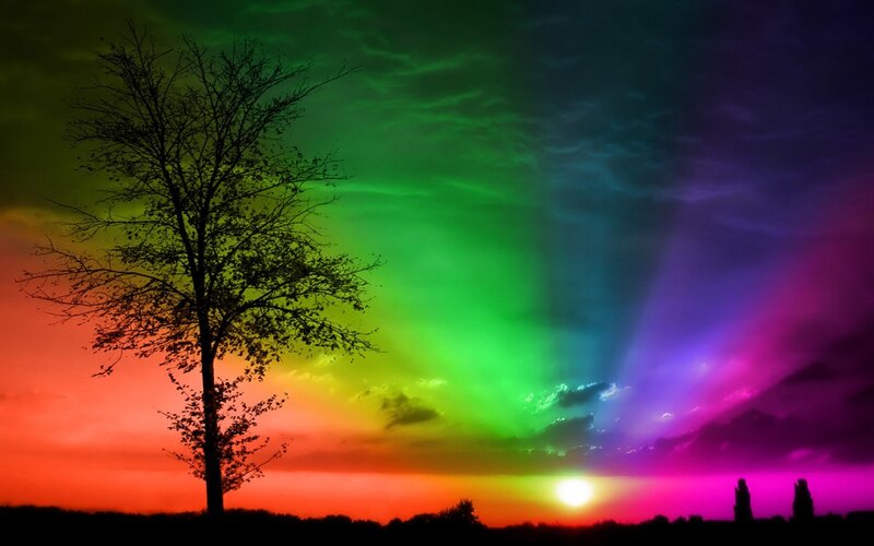 rainbow sky with tree silhouette