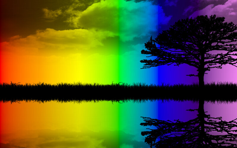 rainbow sky with tree silhouette