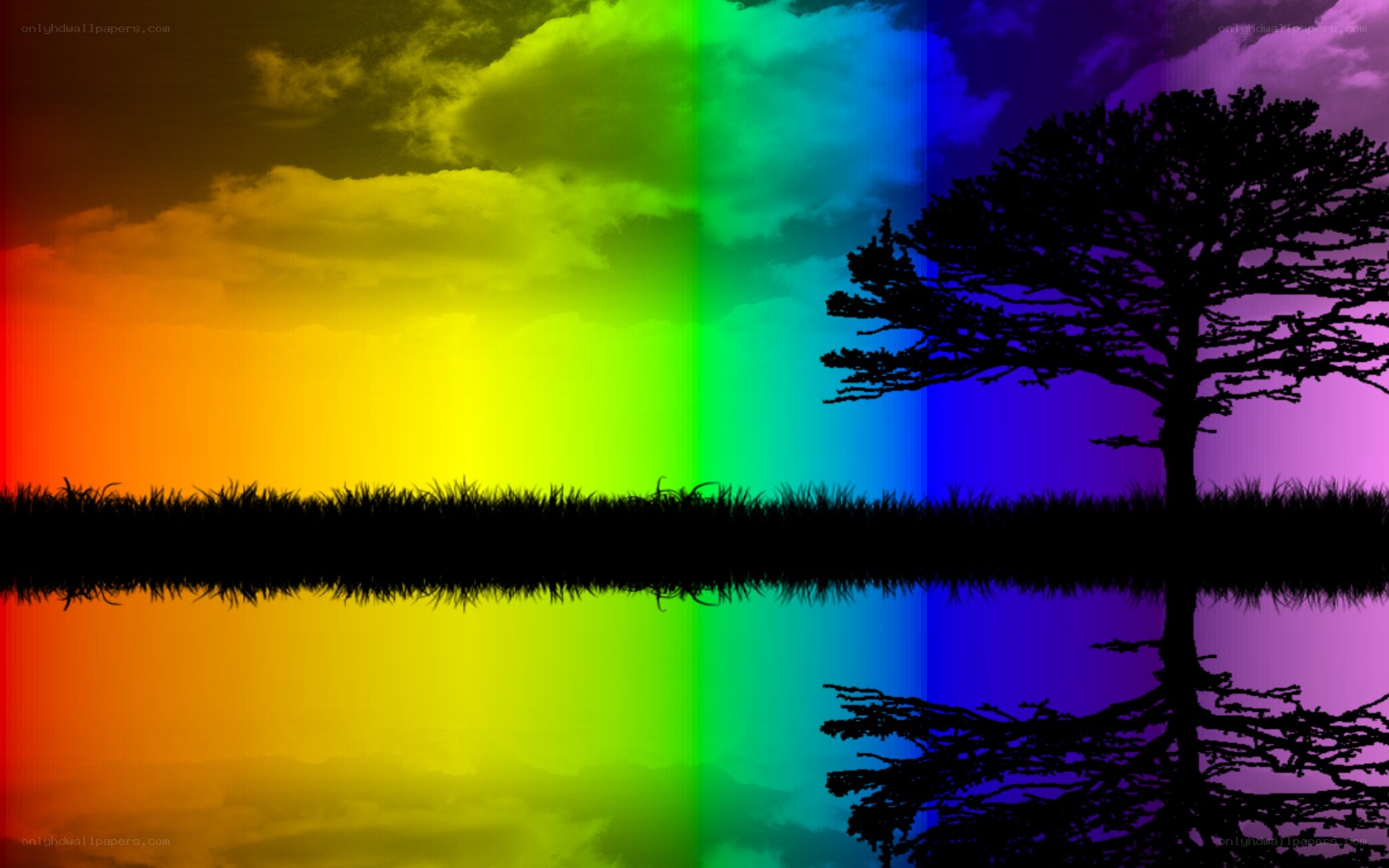 rainbow sky with tree silhouette