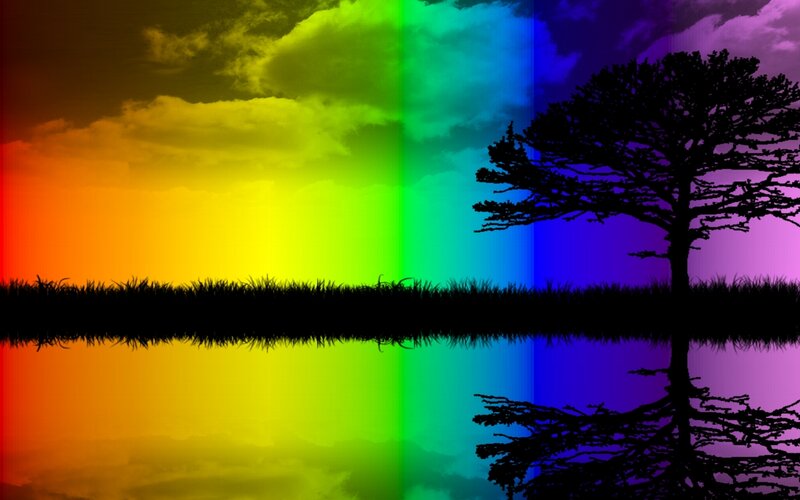rainbow sky with tree silhouette