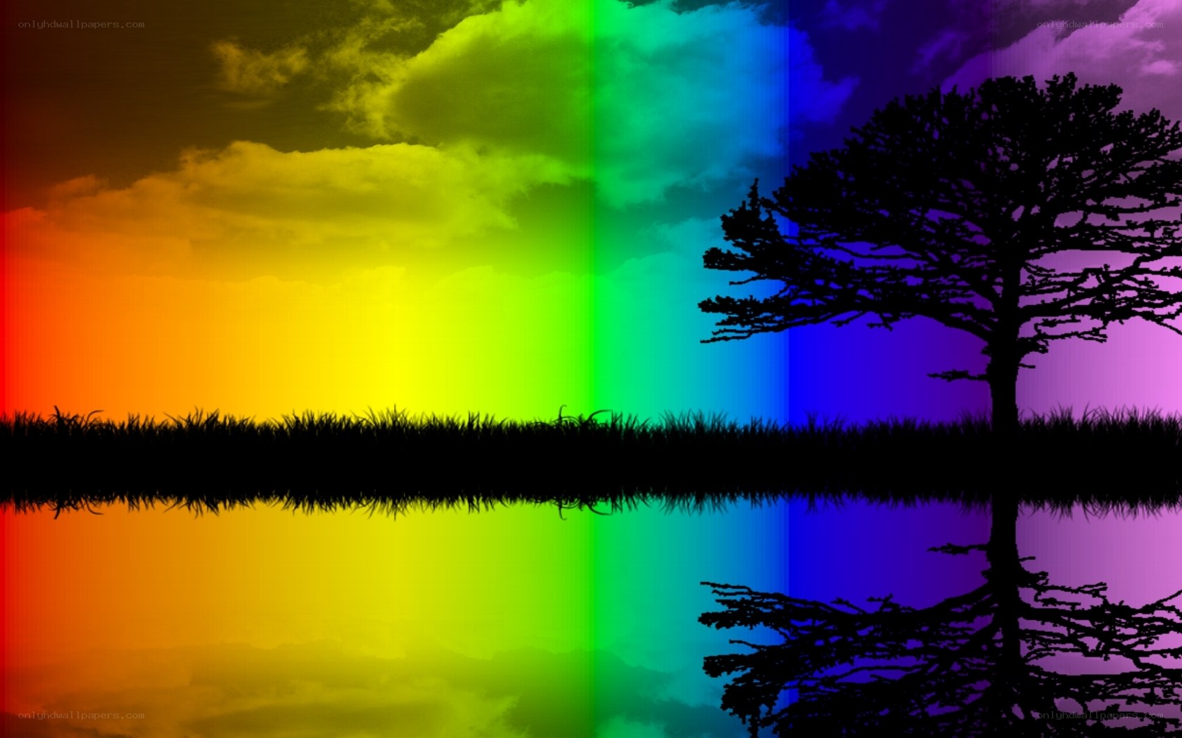 rainbow sky with tree silhouette