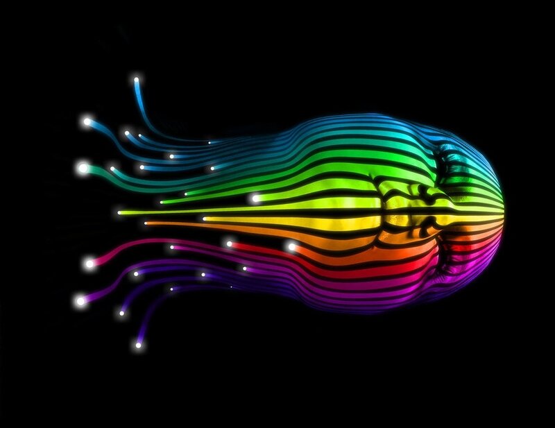 Rainbow-striped Jellyfish