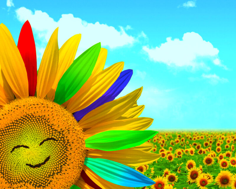 Rainbow Sunflower