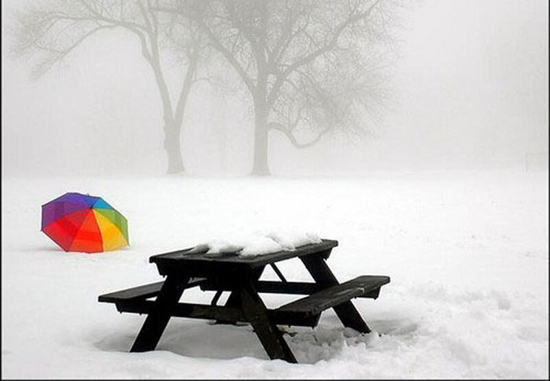 Rainbow umbrella in snow