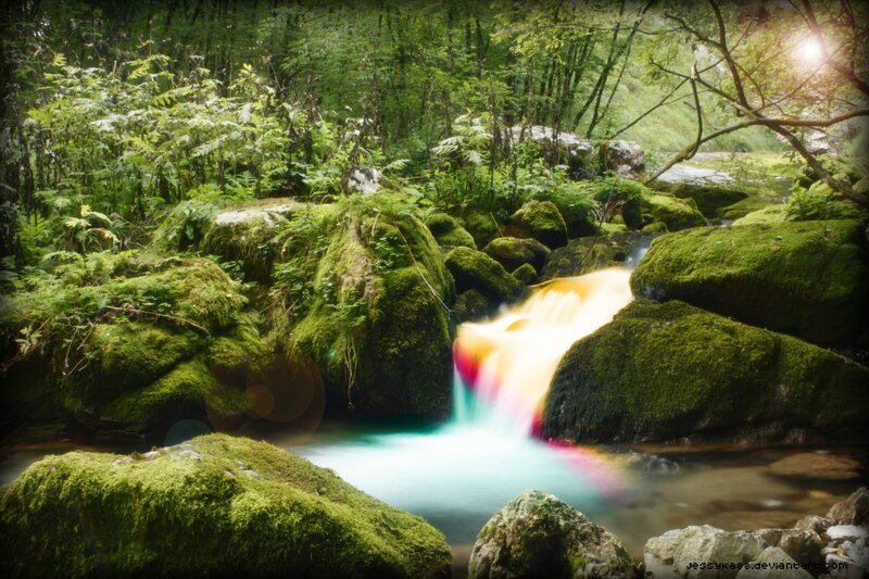Rainbow Waterfall in Forest — Green