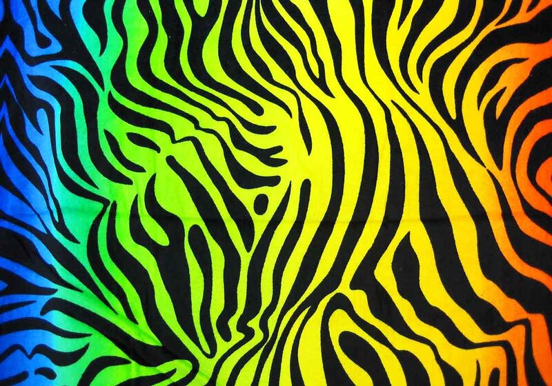 Rainbow Zebra Pattern — Blue