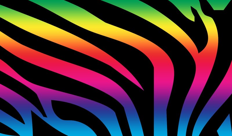 rainbow zebra pattern
