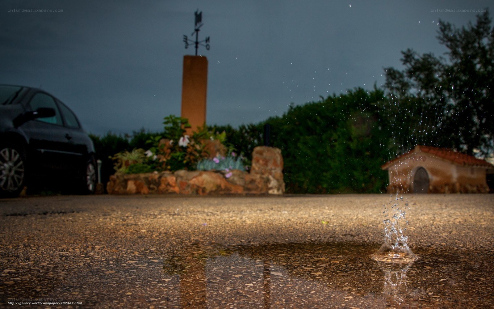 raindrop in a puddle