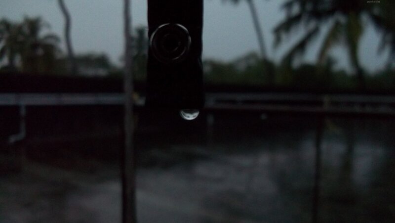 raindrop on a window
