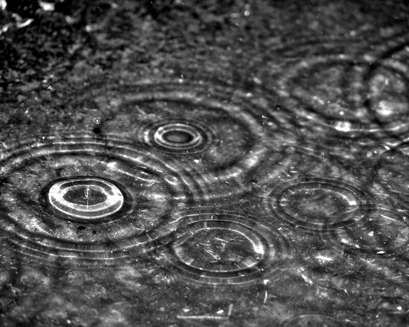 Raindrops creating ripples