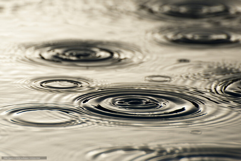 Raindrops creating ripples on water