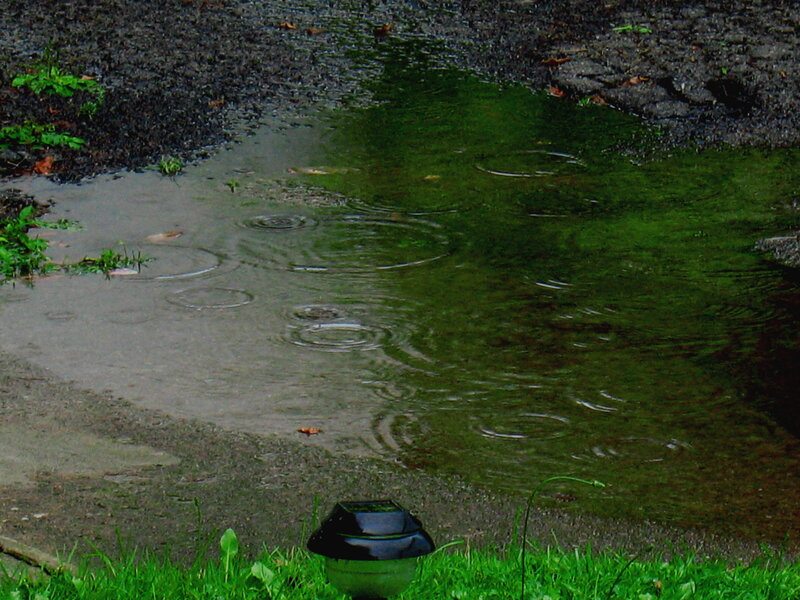 Raindrops in a Puddle