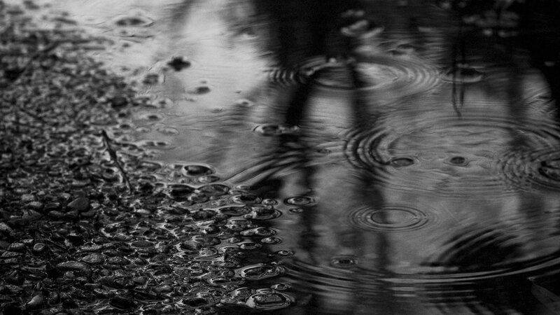 Raindrops in Puddle