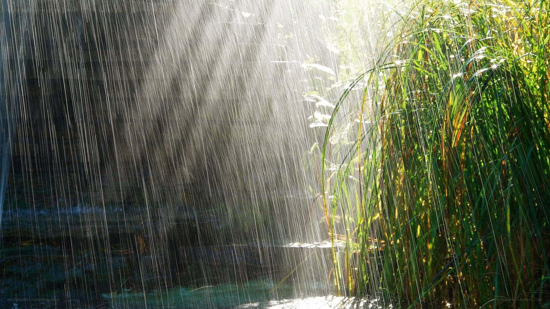 Raindrops in sunlight