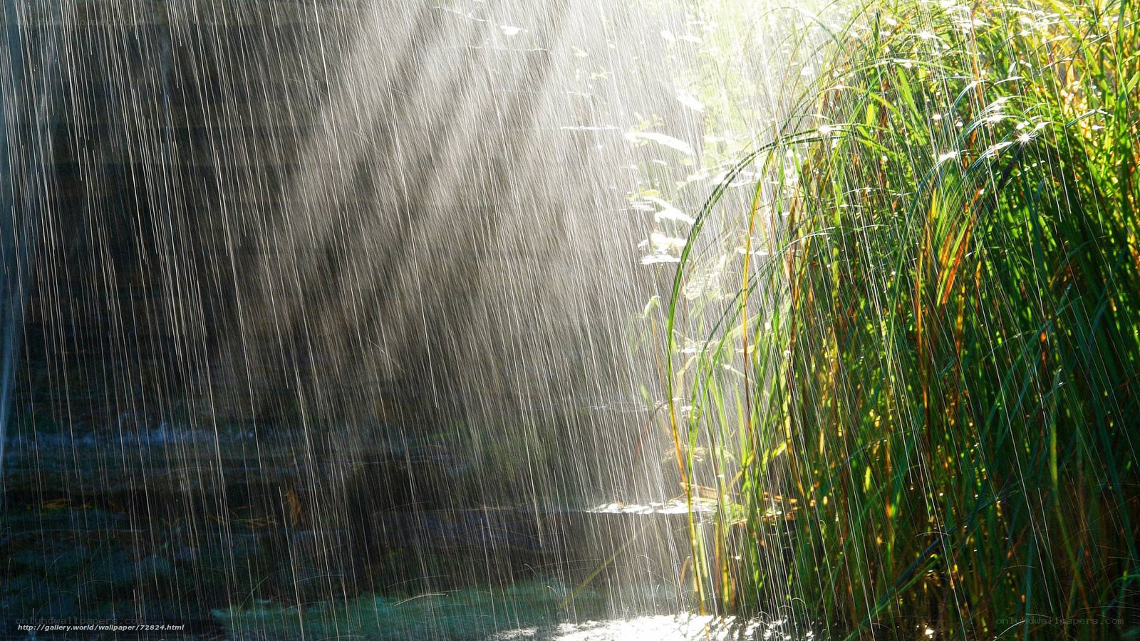 Raindrops in sunlight