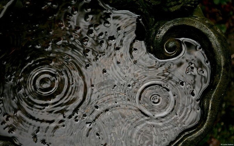 Raindrops in Water