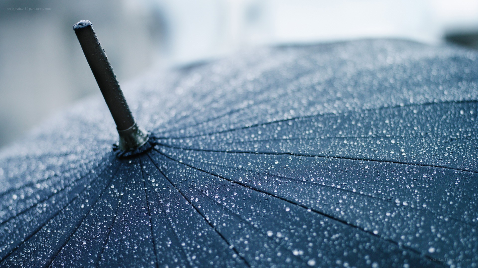 raindrops on a black umbrella