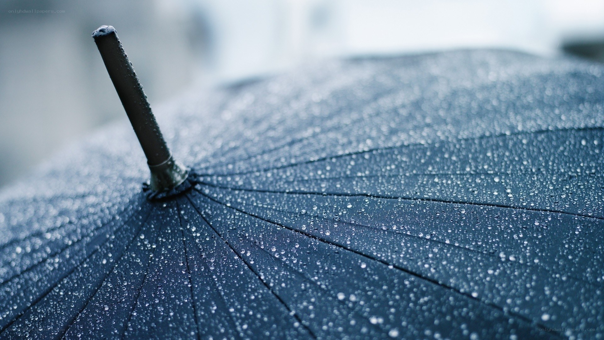 raindrops on a black umbrella