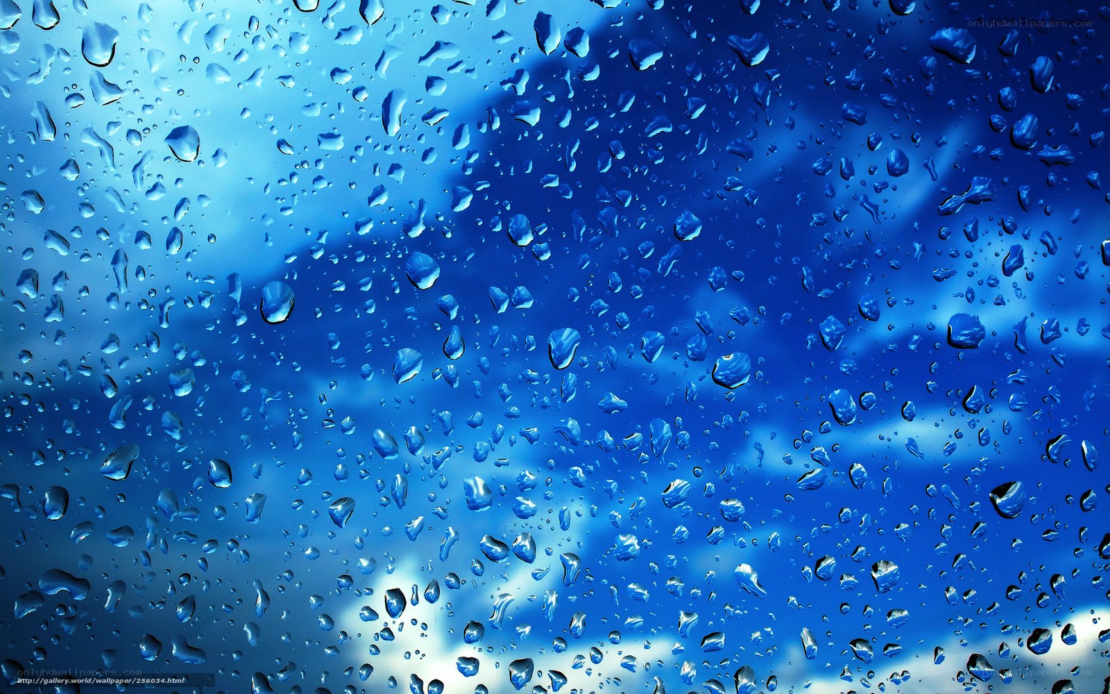 Raindrops on a blue sky