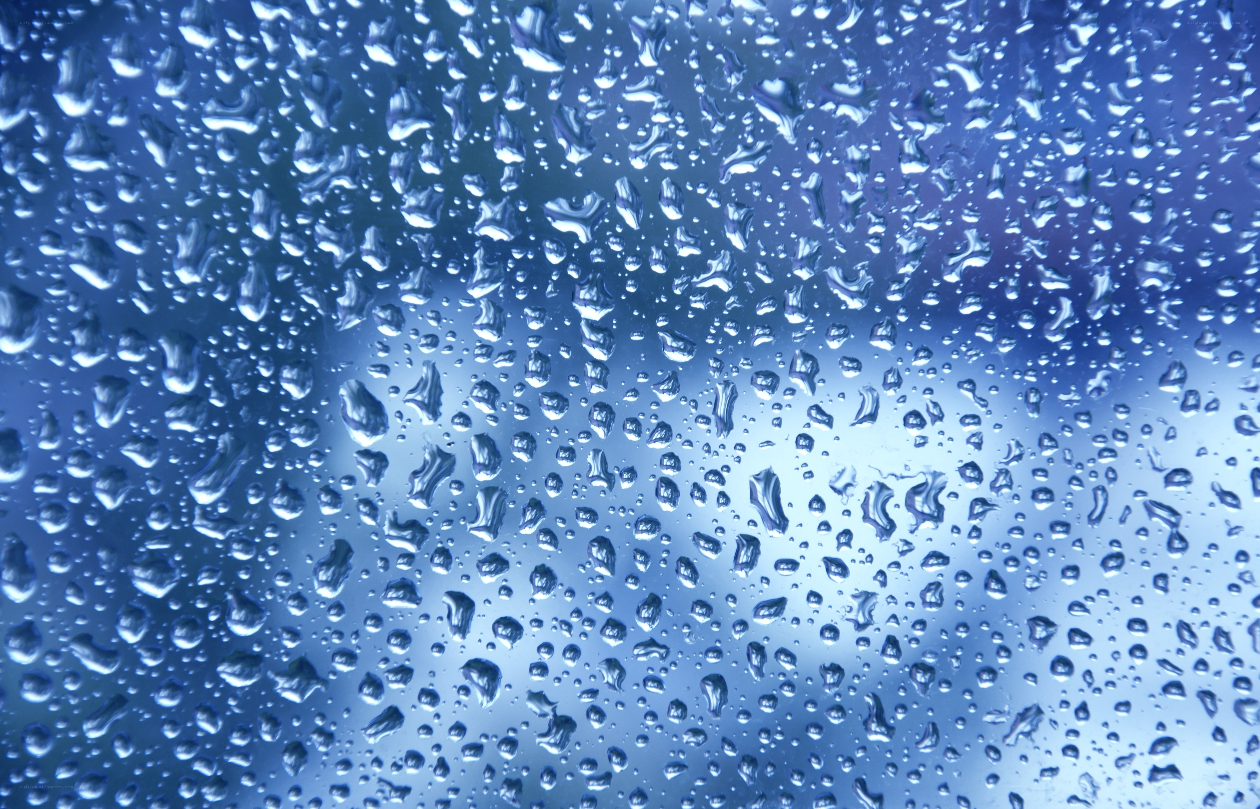 raindrops on a blue surface